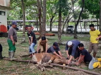 Ibadah ini tak Dianjurkan Dilakukan pada Hari Tasyrik