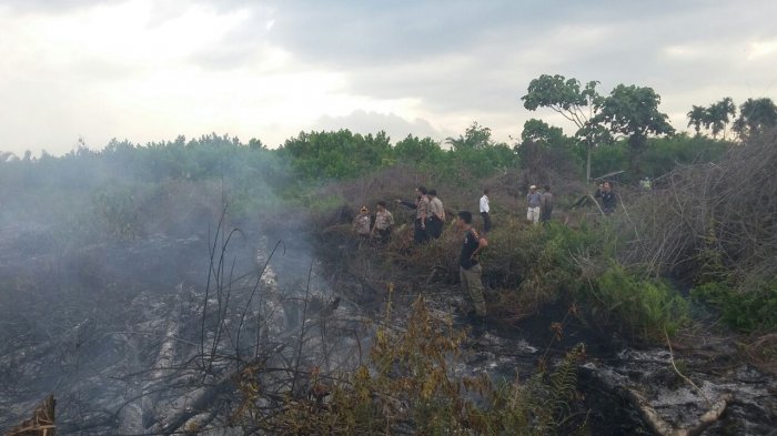 12 Titik Panas Masih Terpantau Di Riau