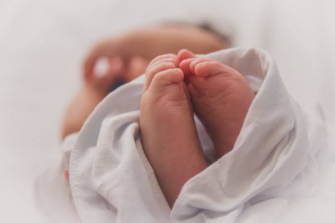 Dinkes Inhil Dorong Skrining Hipotiroid Kongenital Pada Bayi Baru Lahir Terus Digalakkan