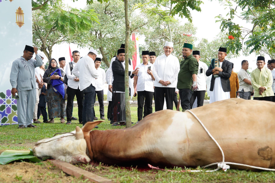 Polda Riau Salurkan 52 Hewan Kurban