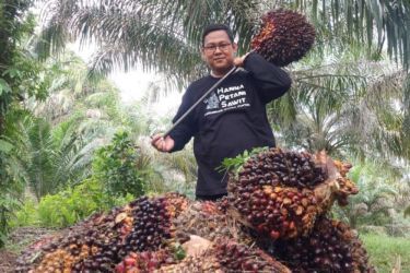 Harga CPO Melonjak karena Perkiraan Penurunan Produksi dan Stok