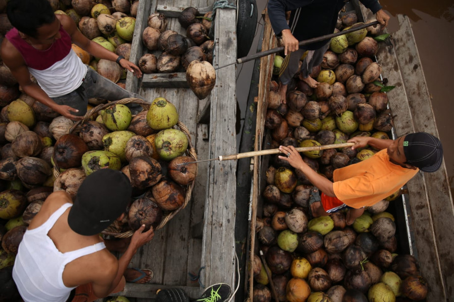 Ekspor Kelapa Bulat Picu Kelangkaan Kelapa