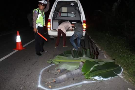 Perbaiki Mobil Yang Sedang Mogok Di Tanjakan, Supir Asal Kampar Tewas Seketika Digilas Truk Sendiri