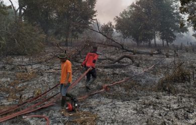 Hingga Juni, Sudah 20 Hektare Luas Lahan Terbakar di Siak