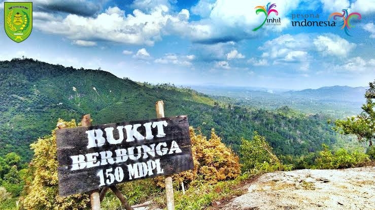 Destinasi Bukit Berbunga Suguhkan Panorama Perbukitan yang Ditumbuhi Bermacam Bunga di Desa Batu Ampar