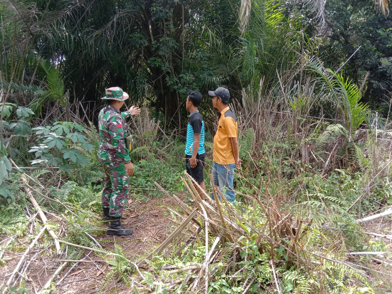 Babinsa Koramil 06/Kateman Praka Riski Patroli Karhutla di Desa Kelapa Patih Jaya