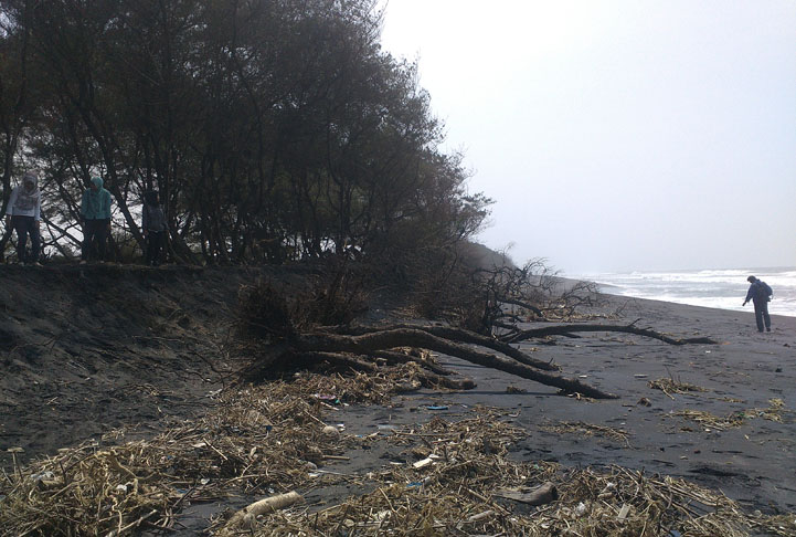 Pantai Tanjung Lapin, Rupat Utara Terancam Abrasi