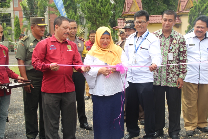 Sekda Inhil Buka Kegiatan Pemilihan Duta GenRe dan Ajang Kreatifitas Remaja Provinsi Riau