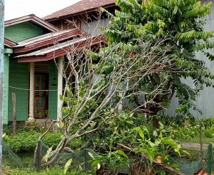 Usai Digerebek, Rumah Terduga Teroris di Rohil Tampak Sepi