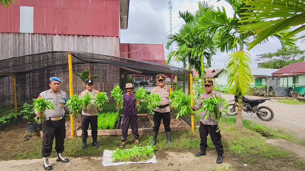 Panen Perdana, Polsek GAS Manfaatkan Pekarangan Rumah Dinas Dukung Ketahanan Pangan