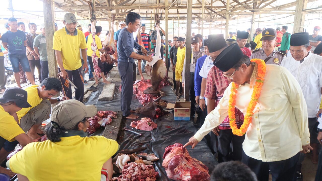 Bupati Inhil Saksikan Penyembelihan Hewan Qurban di Desa Teluk Kiambang