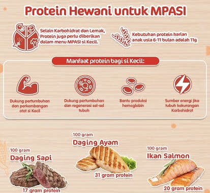 Dinkes Inhil Sebut Pentingnya Protein Hewani untuk MP-ASI